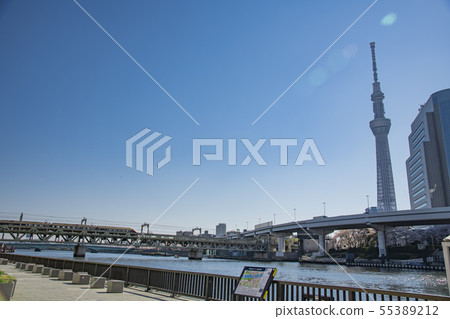 [淺草天空樹] 55389212