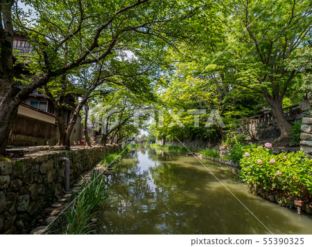 近江八幡八幡鳥游水上樂園之旅 近江八幡八幡鳥游水上樂園之旅 55390325