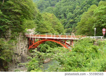 Maekura Bridge over the Nakatsugawa Valley 55390583