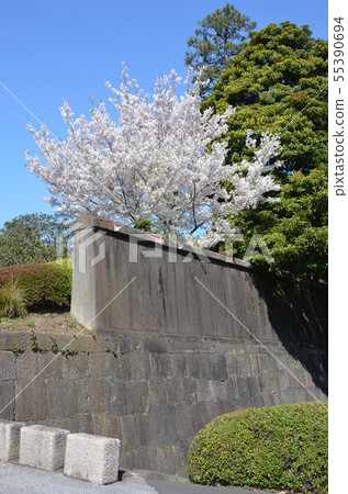 皇宮江戶城石垣 55390694