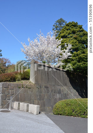 Imperial Palace Edo Castle Ishigaki 55390696