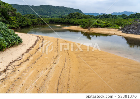 Okinawa Ishigakijima Futtsukawa mangrove community 55391370