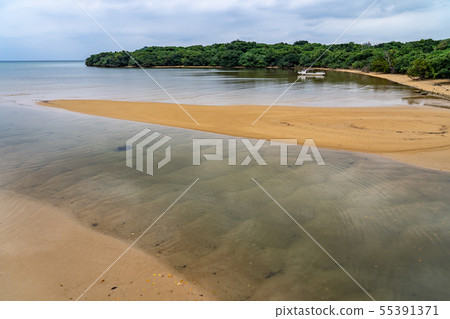 Okinawa Ishigakijima Futtsukawa mangrove community 55391371