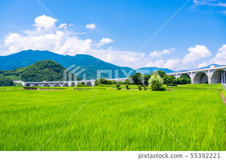 (長野縣)在稻田,上田羅馬橋 (長野縣)在稻田,上田羅馬橋 55392221