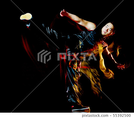 whushu chinese boxing kung fu Hung Gar fighter isolated man whushu chinese boxing kung fu Hung Gar fighter isolated man 55392500
