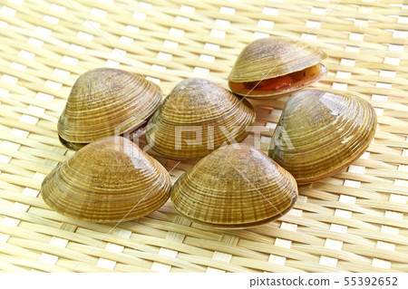 Bakagai(白痴殼) Bakagai(白痴殼) 55392652