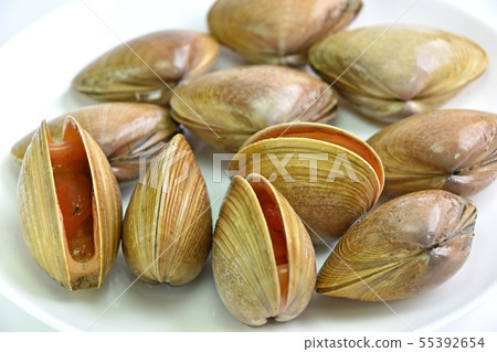 Bakagai(白痴殼) Bakagai(白痴殼) 55392654