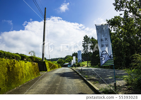 茶園（夏季） 55393028