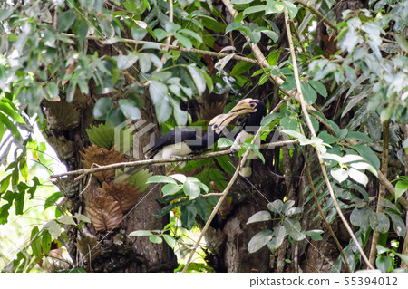 In a complete forest Some days we will find a 55394012