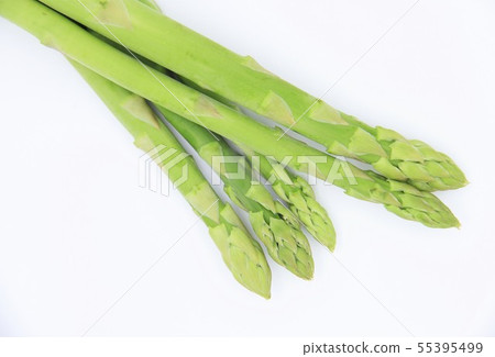 Asparagus Asparagus 55395499
