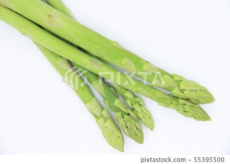 Asparagus Asparagus 55395500