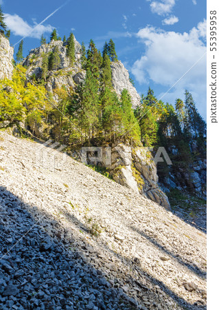trees on steep rocky slope 55395958