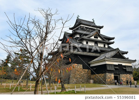 Autumn Matsue Castle Castle Town Autumn Matsue Castle Castle Town 55396081