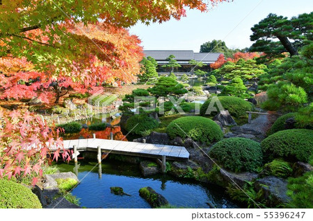 Fall autumn leaves hunting of Yushien 55396247