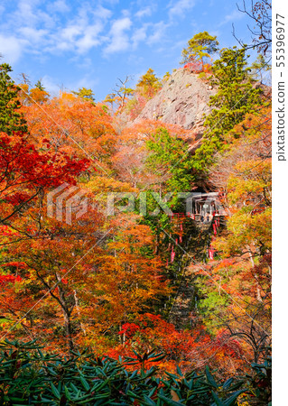 Yamamoto Fudoson (Autumn) 55396977