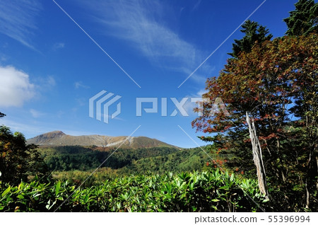 Kusatsu Shiraneyama 55396994