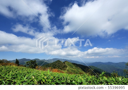 和歌山峰會 55396995