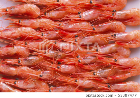 甜蝦填滿了屏幕 甜蝦填滿了屏幕 55397477