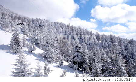 Winter ice of Shiga Kogen 55397817