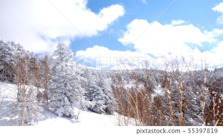Winter ice of Shiga Kogen 55397819