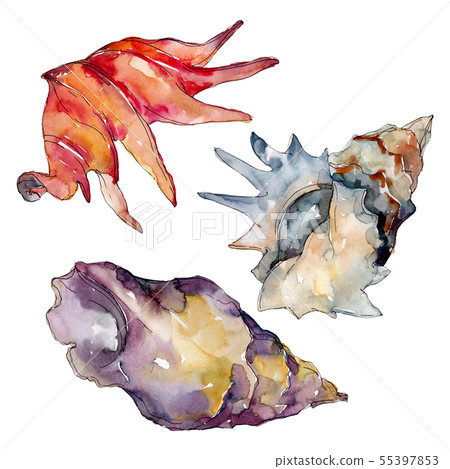 Summer Beach Seashell Tropical Elements Stock Illustration