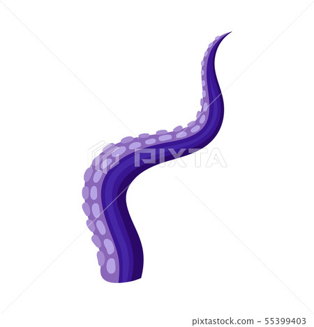Violet octopus tentacles with a bend to the right. Vector illustration on white background. 55399403