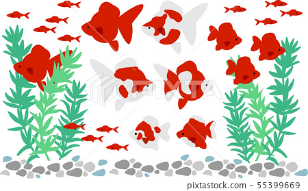 金魚水草 插圖素材 圖庫