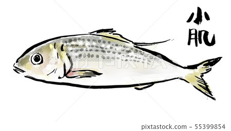 Brush drawing fish kohada Brush drawing fish kohada 55399854