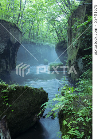 Tarumae Gallo Tarumae Gallo 55401679