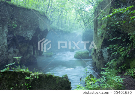 Tarumae Gallo 55401680