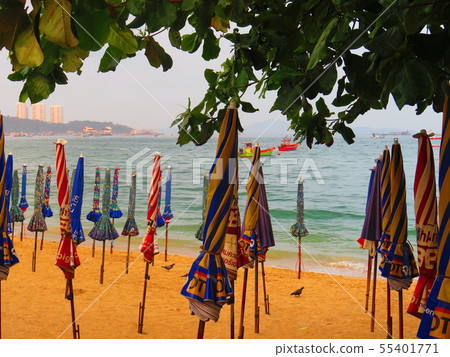 放鬆在芭達亞海灘在泰國 55401771