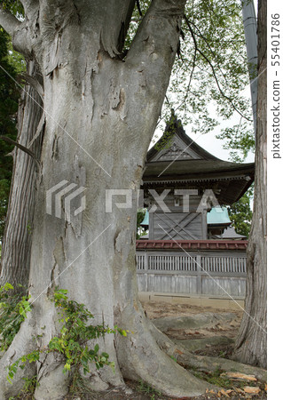 老Shio Shrine秋田 55401786
