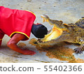 Crocodile Farm & Zoo in Samut Prakan, Thailand 55402366
