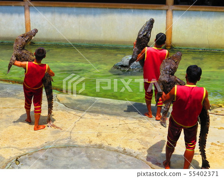 鱷魚農場&動物園在Samut Prakan,泰國 鱷魚農場&動物園在Samut Prakan,泰國 55402371