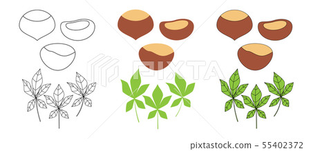 Set of chestnuts in three styles Set of chestnuts in three styles 55402372