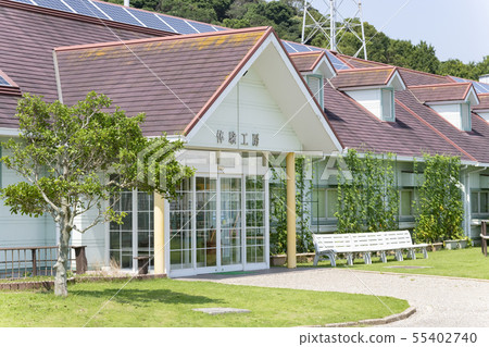 Green Curtain Green Curtain 55402740