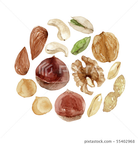 Nuts mixed nuts watercolor illustration 55402968