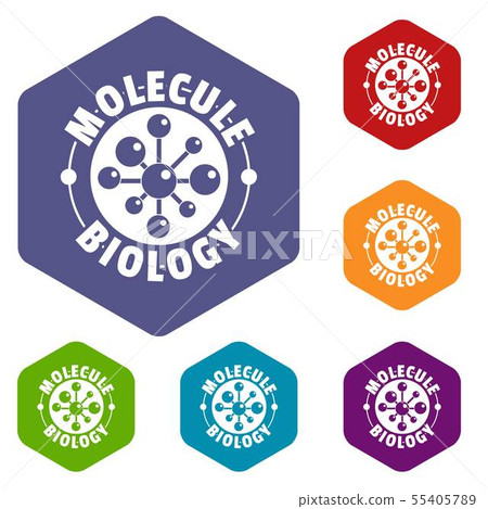 Molecule biology icons vector hexahedron Molecule biology icons vector hexahedron 55405789