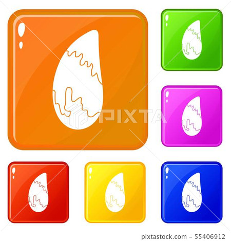 Brazil nut icons set vector color 55406912