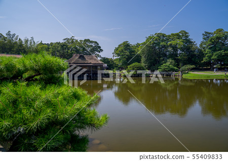 Hikone castle 55409833