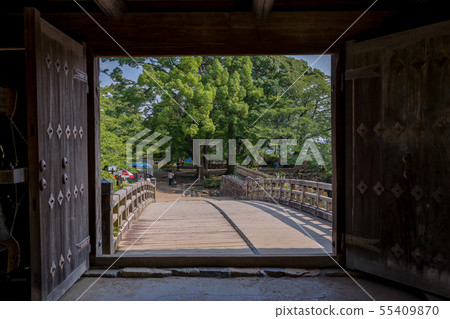 Hikone castle 55409870