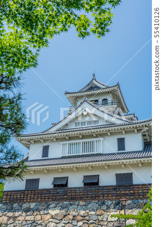 Nagahama Castle 55410126