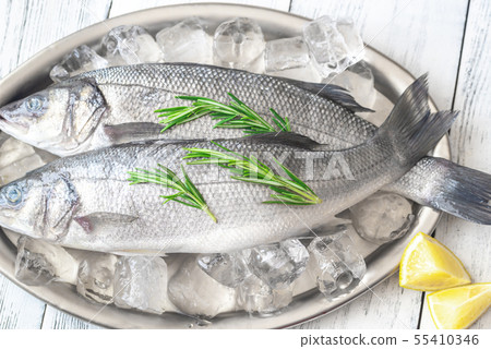 Fresh sea bass fish Fresh sea bass fish 55410346