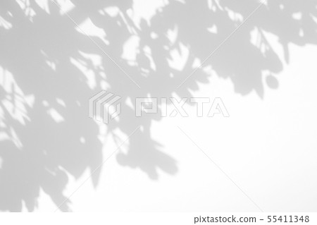 gray shadow of the leaves on a white wall 55411348