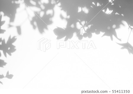 gray shadow of the leaves on a white wall 55411350