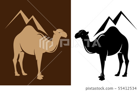 egyptian pyramids and camel monochrome vector 55412534