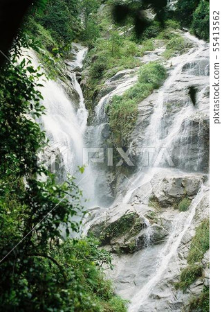 nature nature 55413562