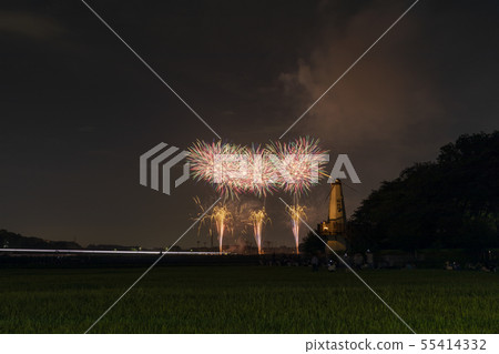 2019 Saitama City Fireworks Festival "Owada Park" 02 2019 Saitama City Fireworks Festival "Owada Park" 02 55414332