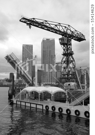 Toyosu Toyosu 55414629