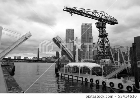 Toyosu Toyosu 55414630